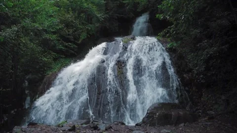 Lush Forest Waterfall Cascading Over Dark Rocks Stock Footage 301087684