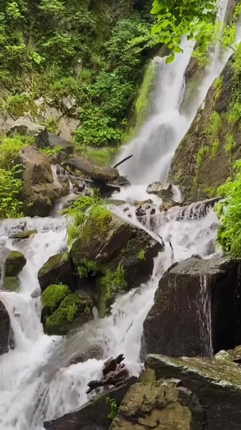 Lush Forest Waterfall Cascading Over Mossy Rocks Stock-Footage 341628902