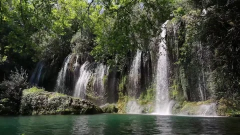 Lush Forest Waterfall Cascading into a Tranquil Pool Stock Footage 301088265