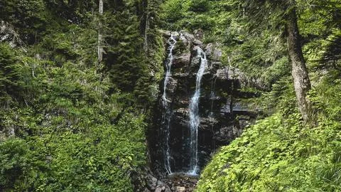 Lush Forest Waterfall Surrounded by Green Vegetation Stock Photos