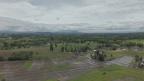 Lush Forested Hillside With White Cumulus Clouds and Patchwork Farmland in .. Video stock 337013124