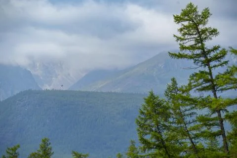Lush forested mountains under a cloudy sky Foto stock