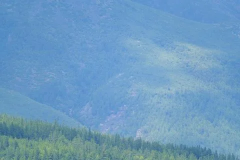 Lush forested mountains under a cloudy sky Foto stock