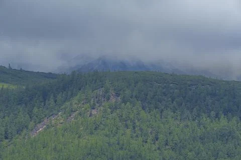 Lush forested mountains under a cloudy sky Stock Photos