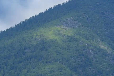 Lush forested mountains under a cloudy sky Stock Photos