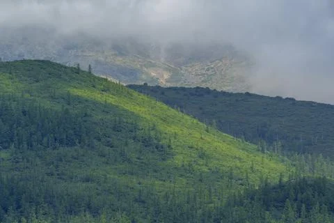 Lush forested mountains under a cloudy sky Foto stock