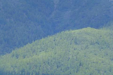 Lush forested mountains under a cloudy sky Foto stock