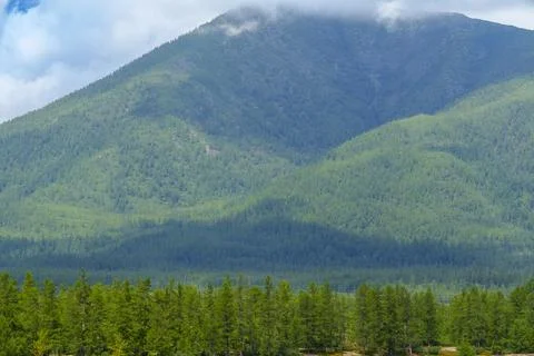Lush forested mountains under a cloudy sky Foto stock