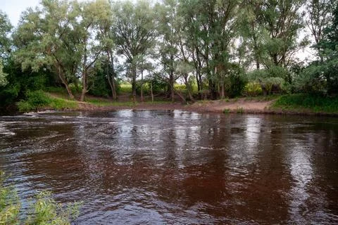 Lush Forest's Mirror Reflection on River Water Stock Photos