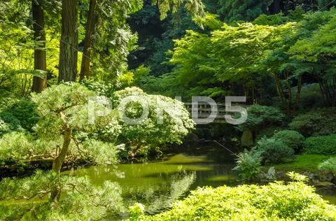 Lush Garden and Bridge Stock Photos