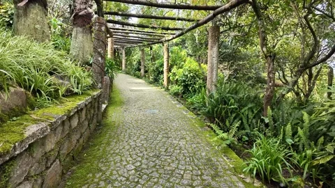Lush Garden Cobblestone Pathway Stock Footage 305274487