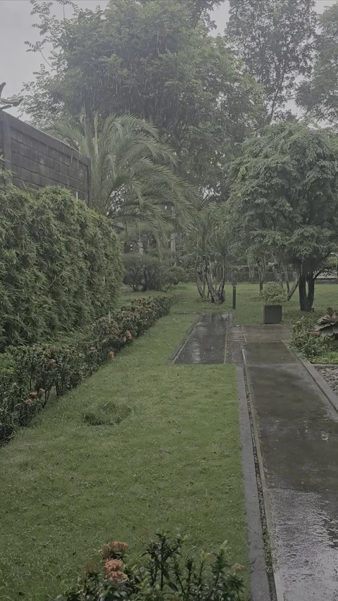 Lush Garden Path During Rain with Greenery and Flowers Stock Footage 296722937