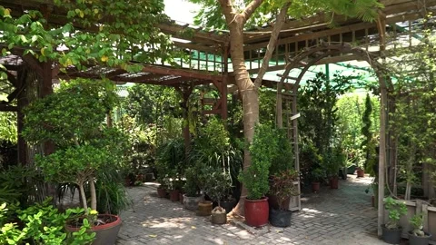 Lush Garden Pathway Stock Footage 317472717