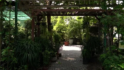 Lush Garden Pathway Stock Footage 317472721