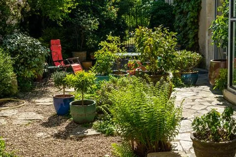 Lush garden scene featuring various potted plants and a red lounge chair on.. Stock Photos
