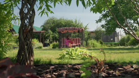 Lush Garden Seen Through Winding Branches, Peaceful View Framed By Twisting Stock Footage 324617452