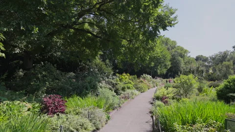 Lush grass in end of the summer at Fort Tryon Park at Washington Heights Vídeo Stock 249836105