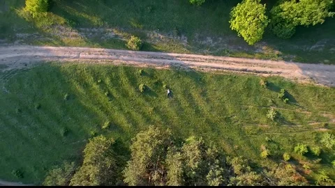 Lush Green Aerial View Stock Footage 310821518