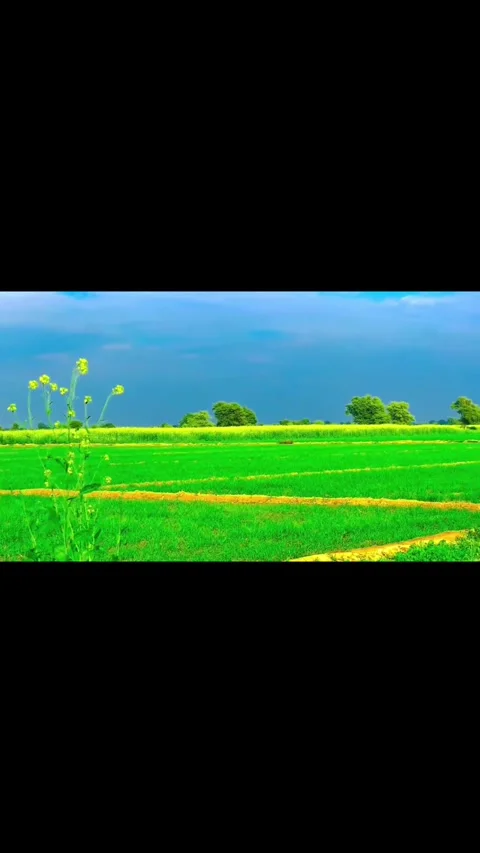 Lush Green Agricultural Fields Under Dramatic Blue Sky Nature Landscape Vídeos de archivo 332023182