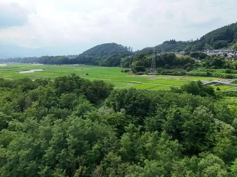 Lush green canopy frames a tranquil valley Фото