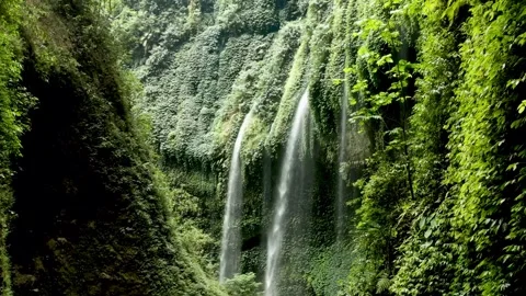 Lush Green Cliff Face with Two Cascading Waterfalls Stock Footage 295748714