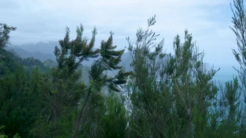 Lush green cliffs overlooking a dramatic ocean coastline Видео 333695872