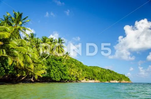 Lush Green Coastline Stock Photos