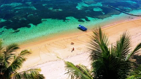 Lush Green Coconut Palm Trees Overhanging White Sand Beach And Blue Ocean Stock Footage 333604530