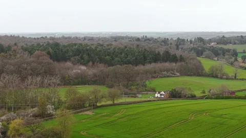 Lush green countryside fields with isolated village houses near forest edge. Stock Footage 332219892