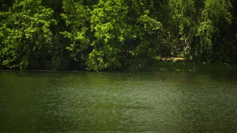 Lush Green Deciduous Trees Overhanging the Still and Rippling Emerald Wa Stock Footage 332787202