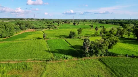 Lush green farmland with patchwork fields under a clear sky, aerial view. Stock Footage 262543078
