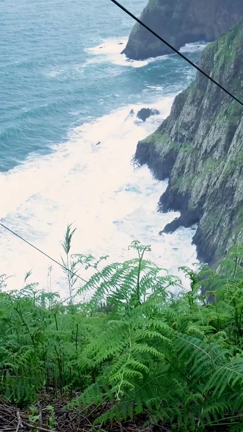 Lush green ferns overlooking a dramatic stormy sea cliff coast Stock Footage 334441178