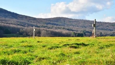 Lush green field in the wind winter cold day Stock Footage 256241084