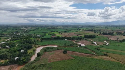 Lush Green Fields and Cloudy Sky in Rainy Season Stock Footage 315878008