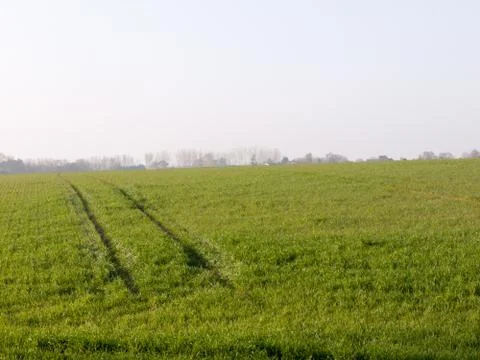 Lush Green Fields in the Height of Spring Stock Photos