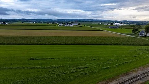 Lush Green Fields Stretch Across a Rural Landscape Under Cloudy Skies in Au.. Stock Photos
