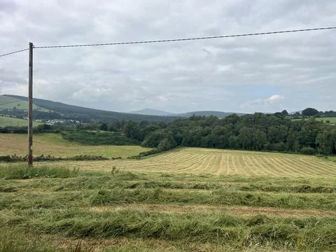 Lush Green Fields Stretch Under a Cloudy Sky in a Tranquil Rural Landscape Foto stock