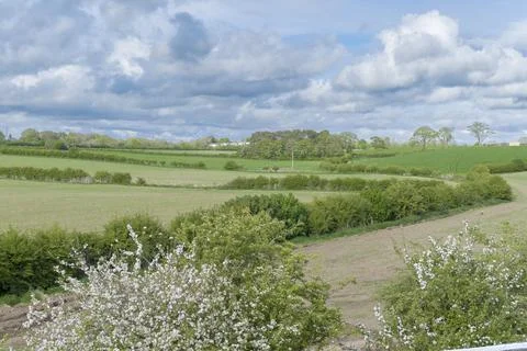 Lush green fields stretch under a partly cloudy sky 库存照片