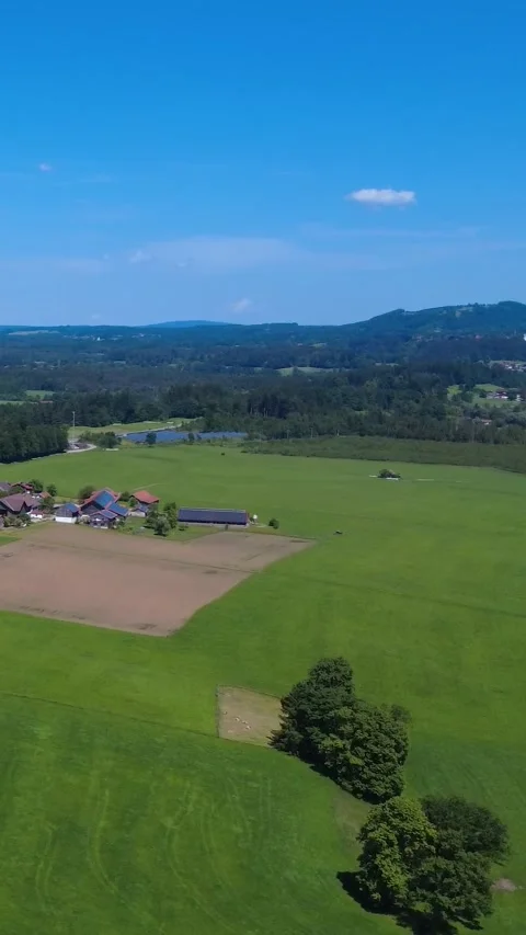 Lush Green Fields Surround Peaceful Rural Village in Summer With Clear Blue Stock Footage 311112058