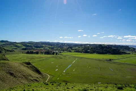 Lush Green Fields Under a Clear Blue Sky Stock Photos