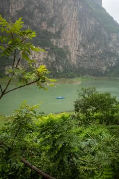 Lush green foliage frames a calm, emerald river Stock Photos