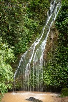 Lush green foliage frames cascading waterfall Stock Photos
