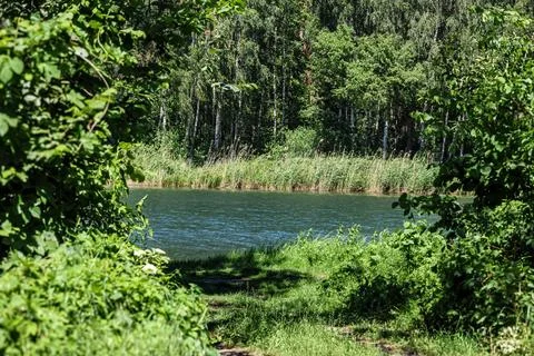 Lush green foliage frames a tranquil river flowing through a dense forest Stockfoto's