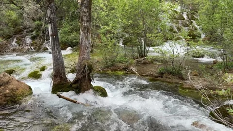 Lush Green Forest and Cascading Waterfalls in Jiuzhaigou Sichuan China Stock Footage 338373505