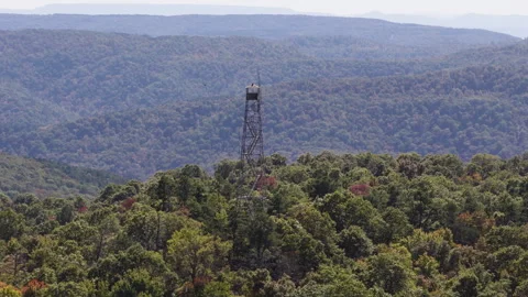 Lush Green Forest And Devil's Knob Fire Tower In Arkansas, USA - Drone Shot Stock Footage 328071517