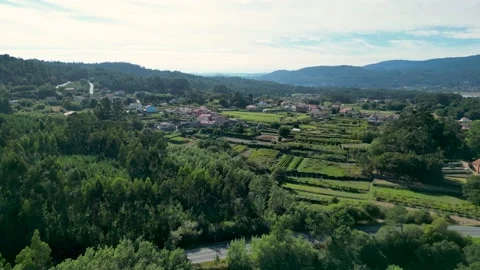 Lush Green Forest And Fields Near Vidéo 227304449