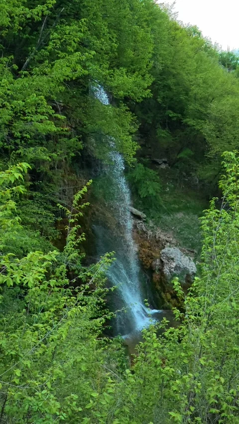 Lush green forest frames a cascading waterfall. Gostilje, Serbia. Vertical Stock Footage 337061636