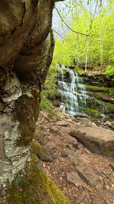 Lush green forest frames a gentle, cascading waterfall. Tupavica, Vertical Vídeos de archivo 335947375