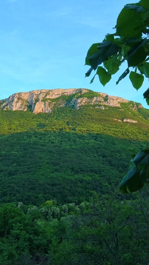 Lush green forest frames a rugged mountain peak. Sicevo Gorge, Serbia. Vertical Видео 337057844