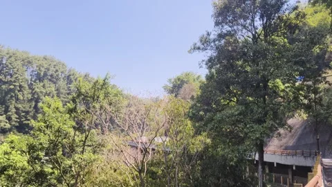 Lush green forest hills under blue sky Stock Footage 346659371